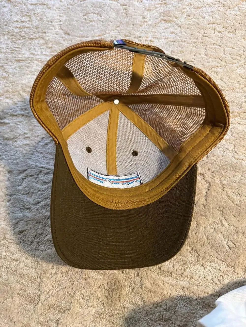 Patagonia logo trucker